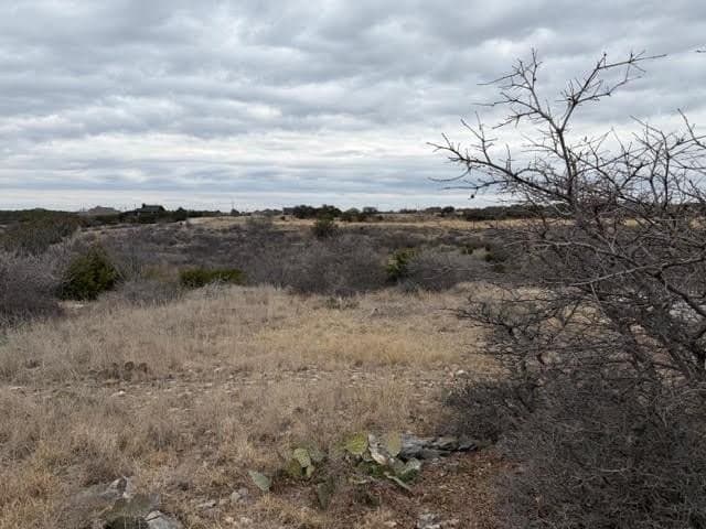 0.22 acres in Palo Pinto County - photo 4