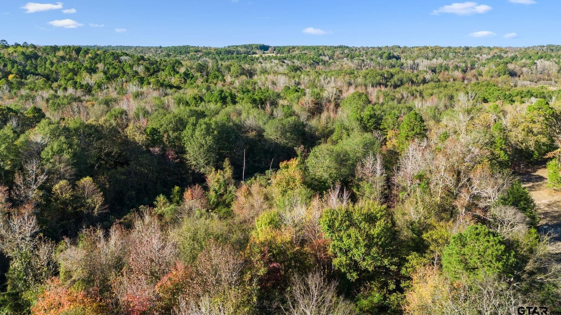 19.68 acres in Smith County - photo 10