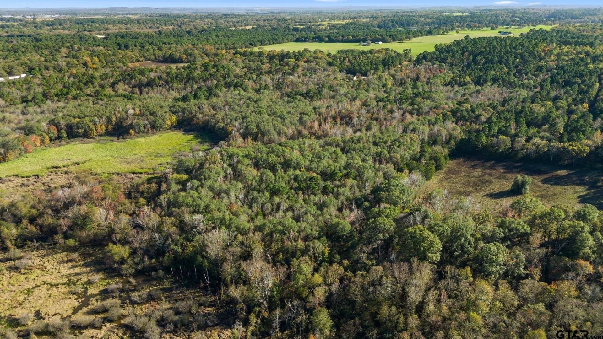 19.68 acres in Smith County - photo 8