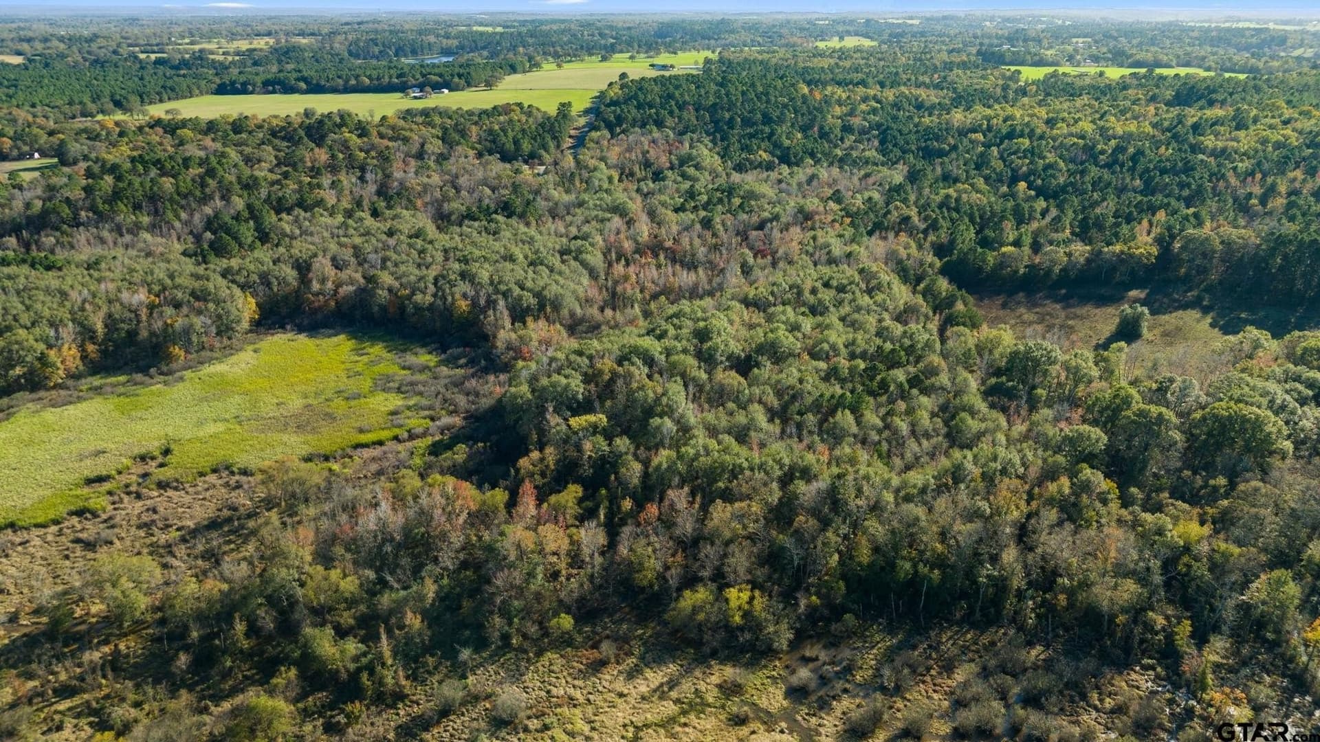 19.68 acres in Smith County - photo 9