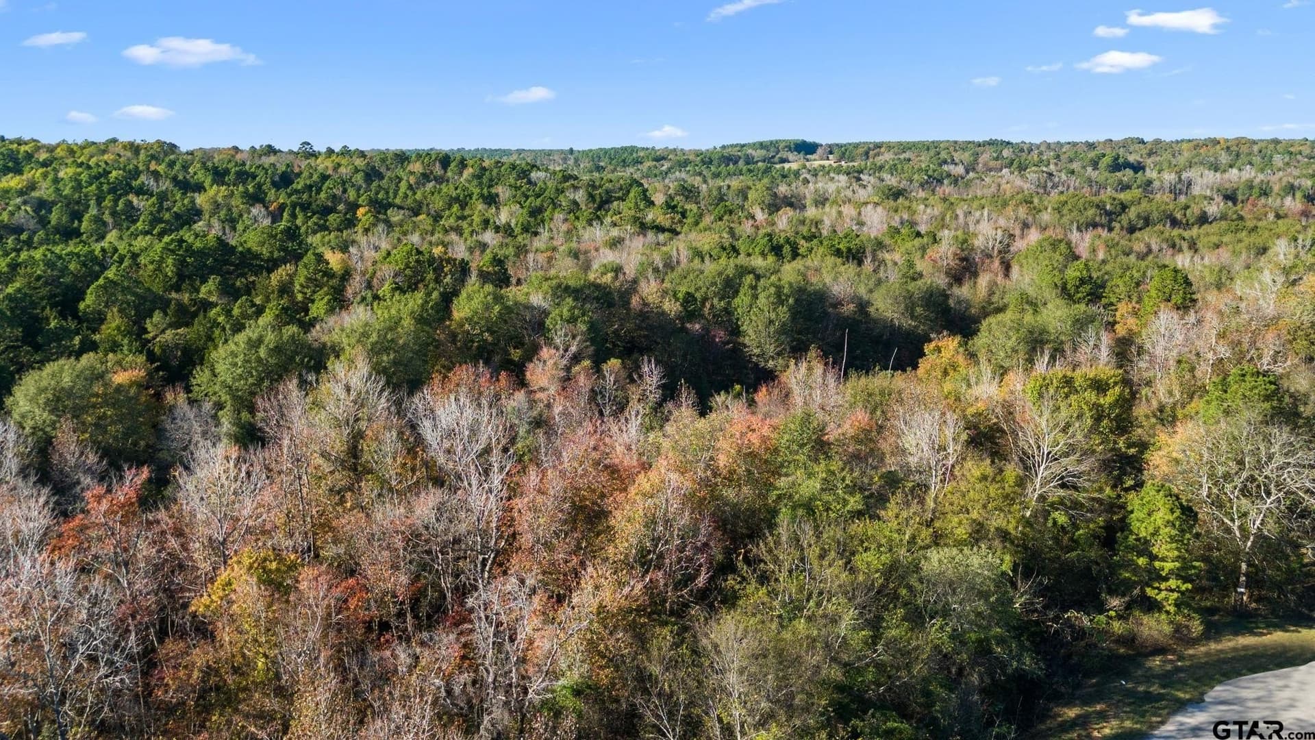 19.68 acres in Smith County - photo 11