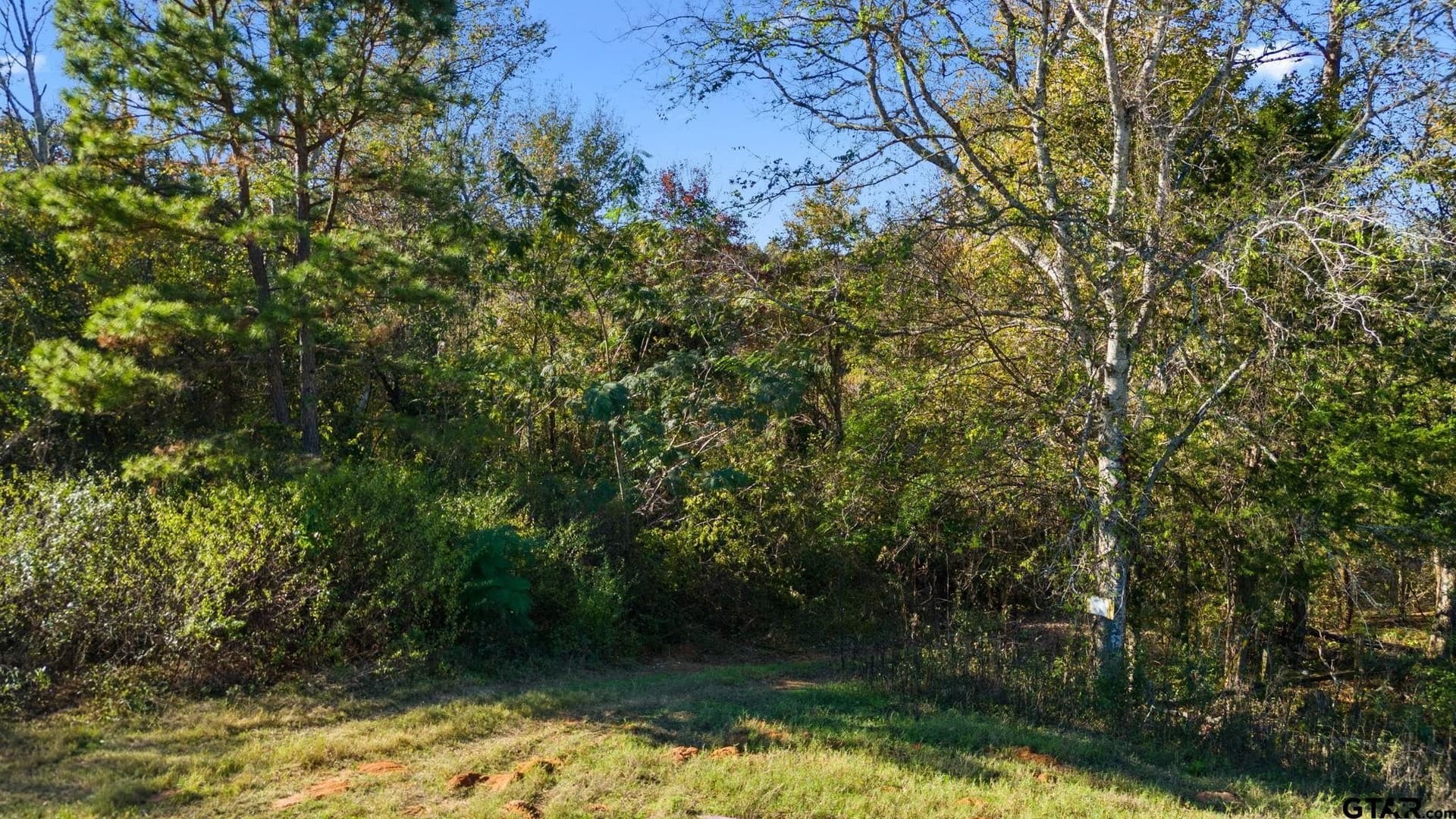 19.68 acres in Smith County - photo 3