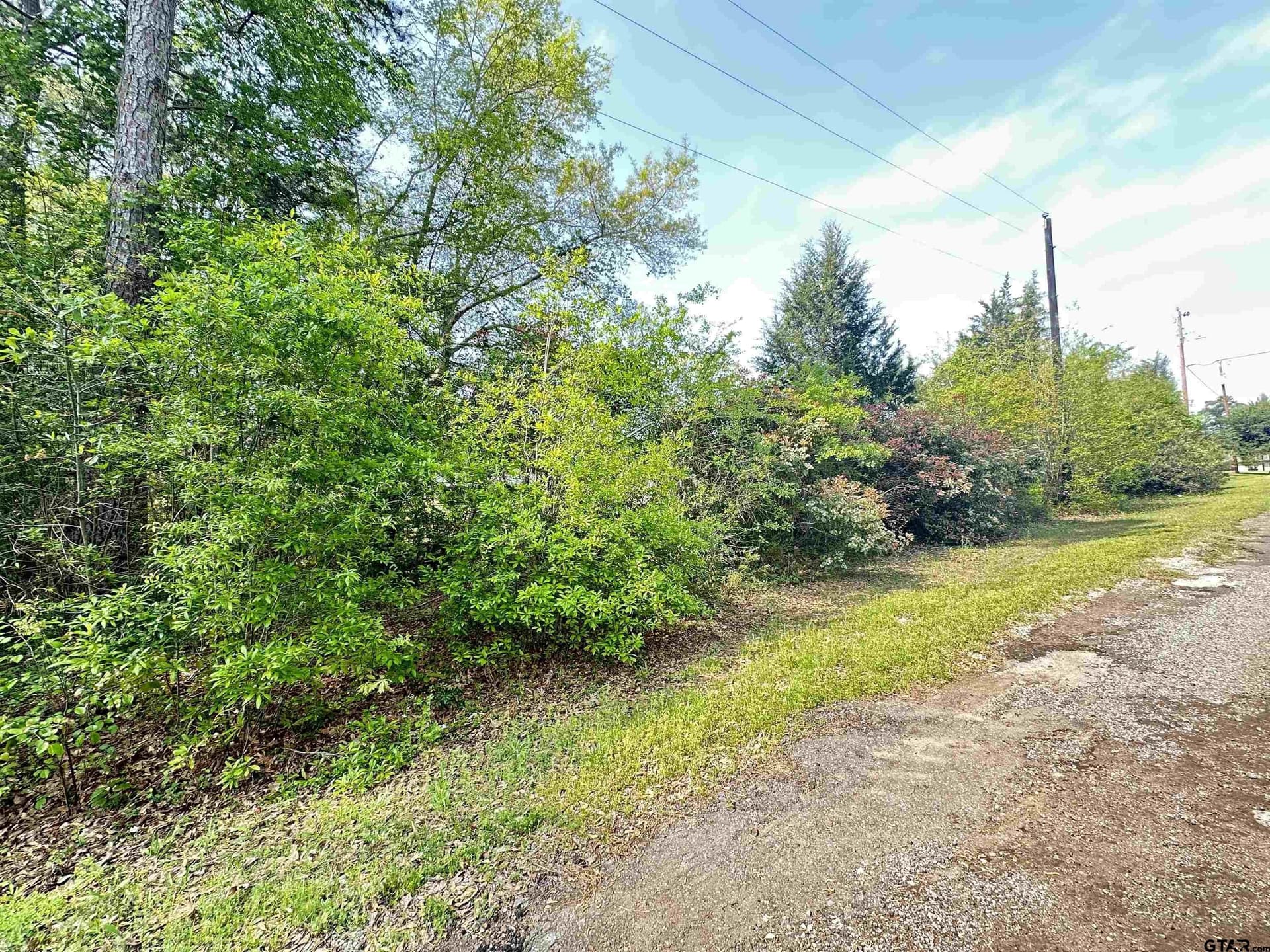 0.3 acres in Henderson County - photo 2