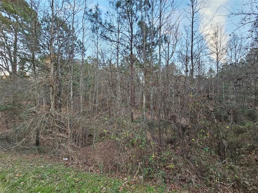 2 acres in Upshur County - photo 6