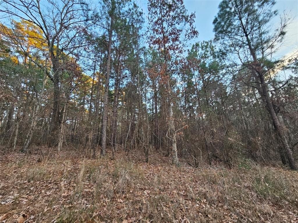 2 acres in Upshur County - photo 3