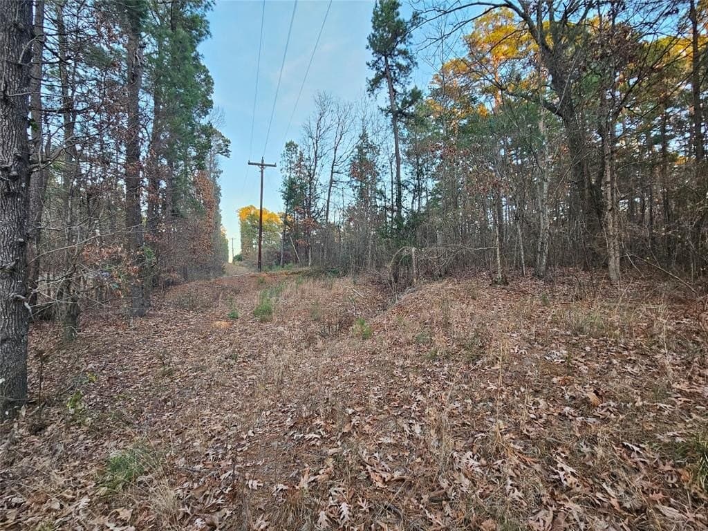 2 acres in Upshur County - photo 4