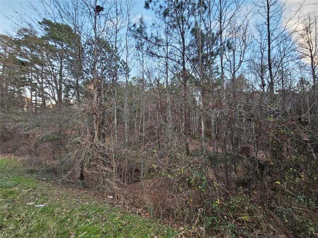 2 acres in Upshur County - photo 5