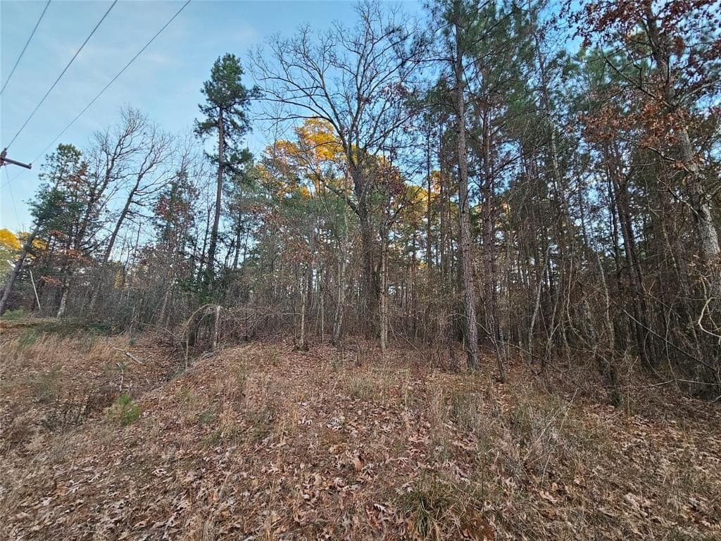 2 acres in Upshur County - photo 2