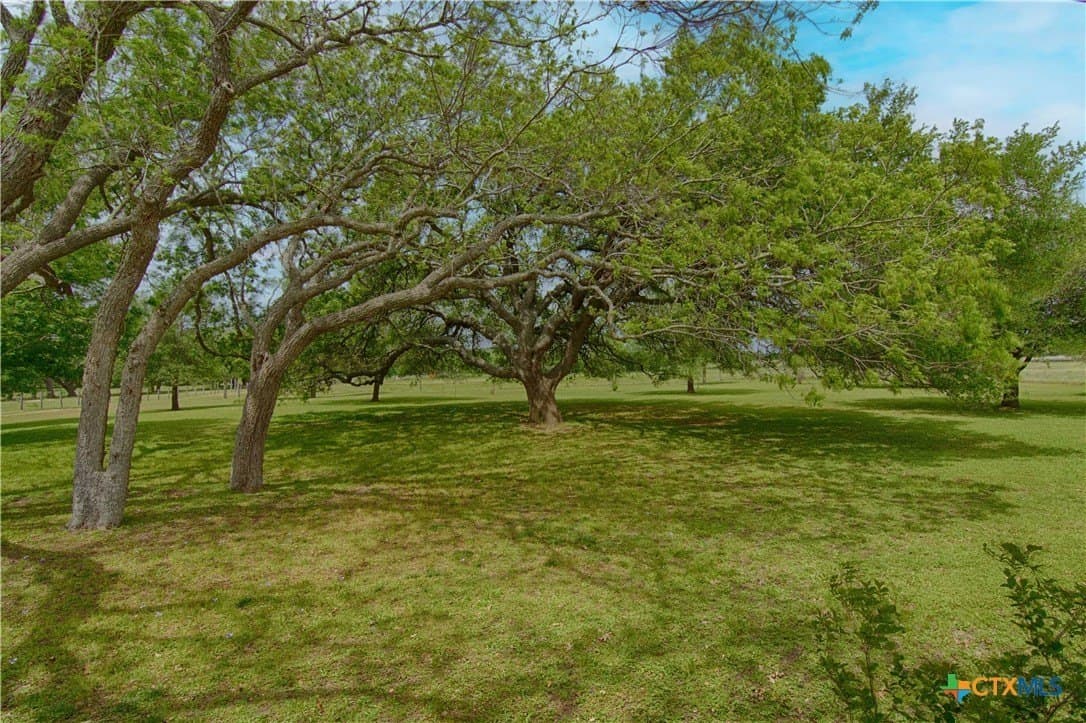 37.76 acres in Lavaca County - photo 45