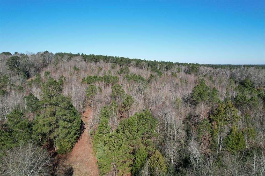 36.36 acres in Shelby County - photo 8