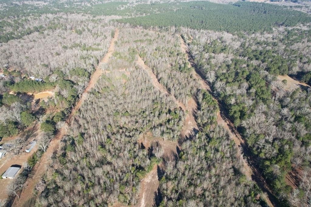 36.36 acres in Shelby County - photo 4