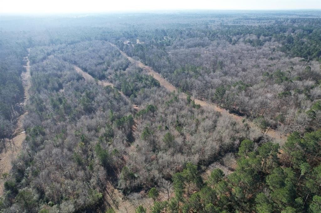 36.36 acres in Shelby County - photo 5
