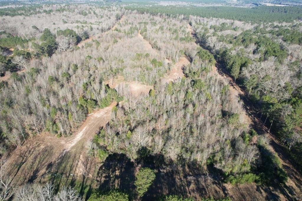 36.36 acres in Shelby County - photo 2