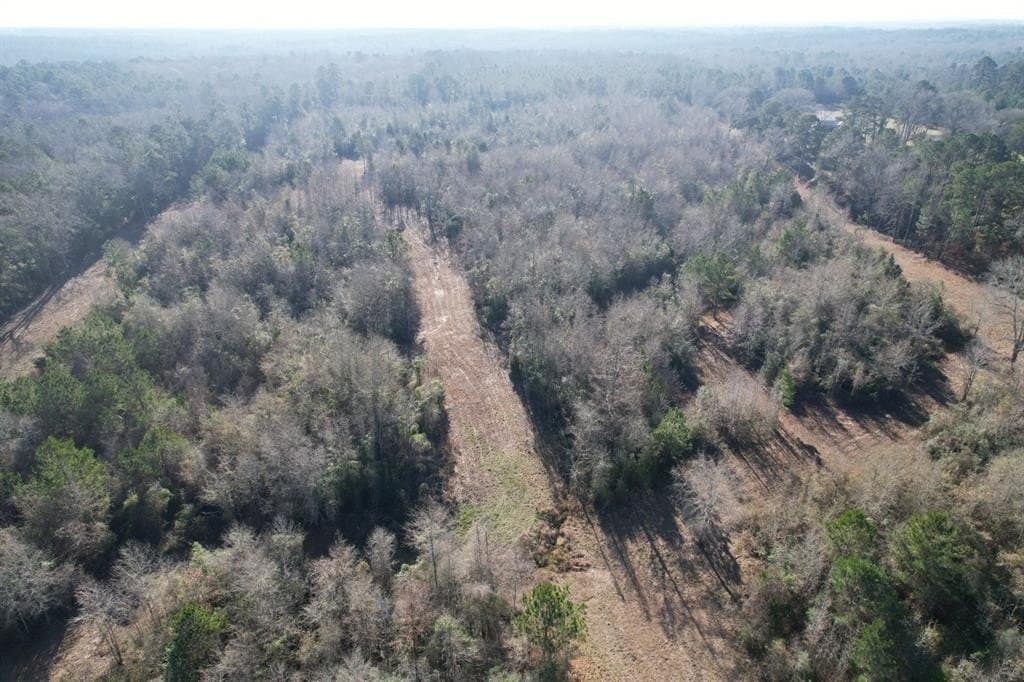 36.36 acres in Shelby County - photo 6