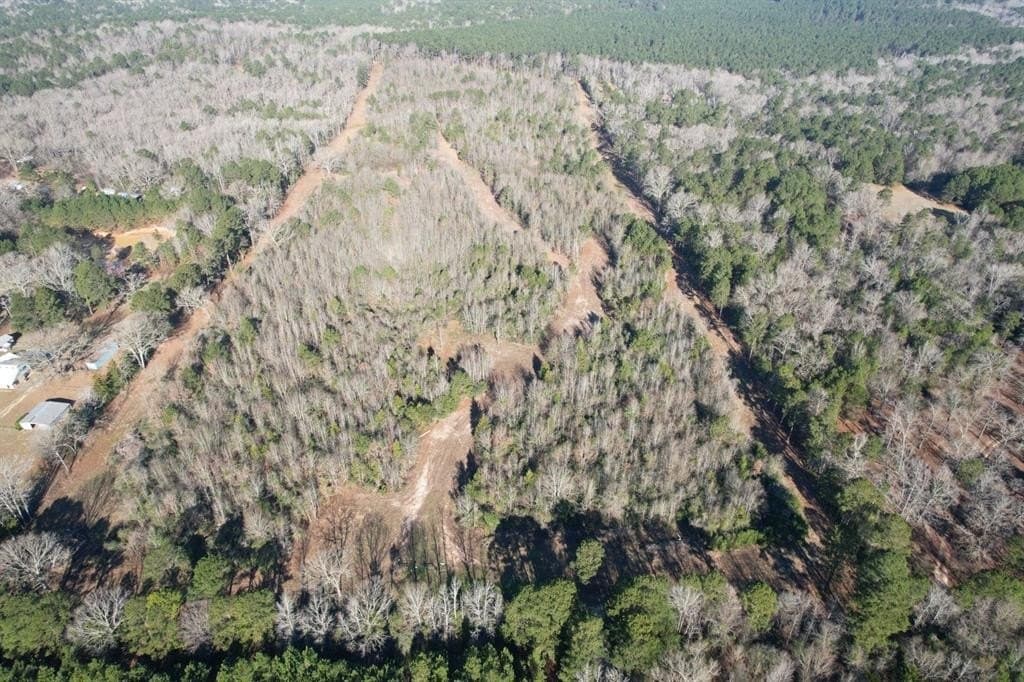 36.36 acres in Shelby County - photo 3