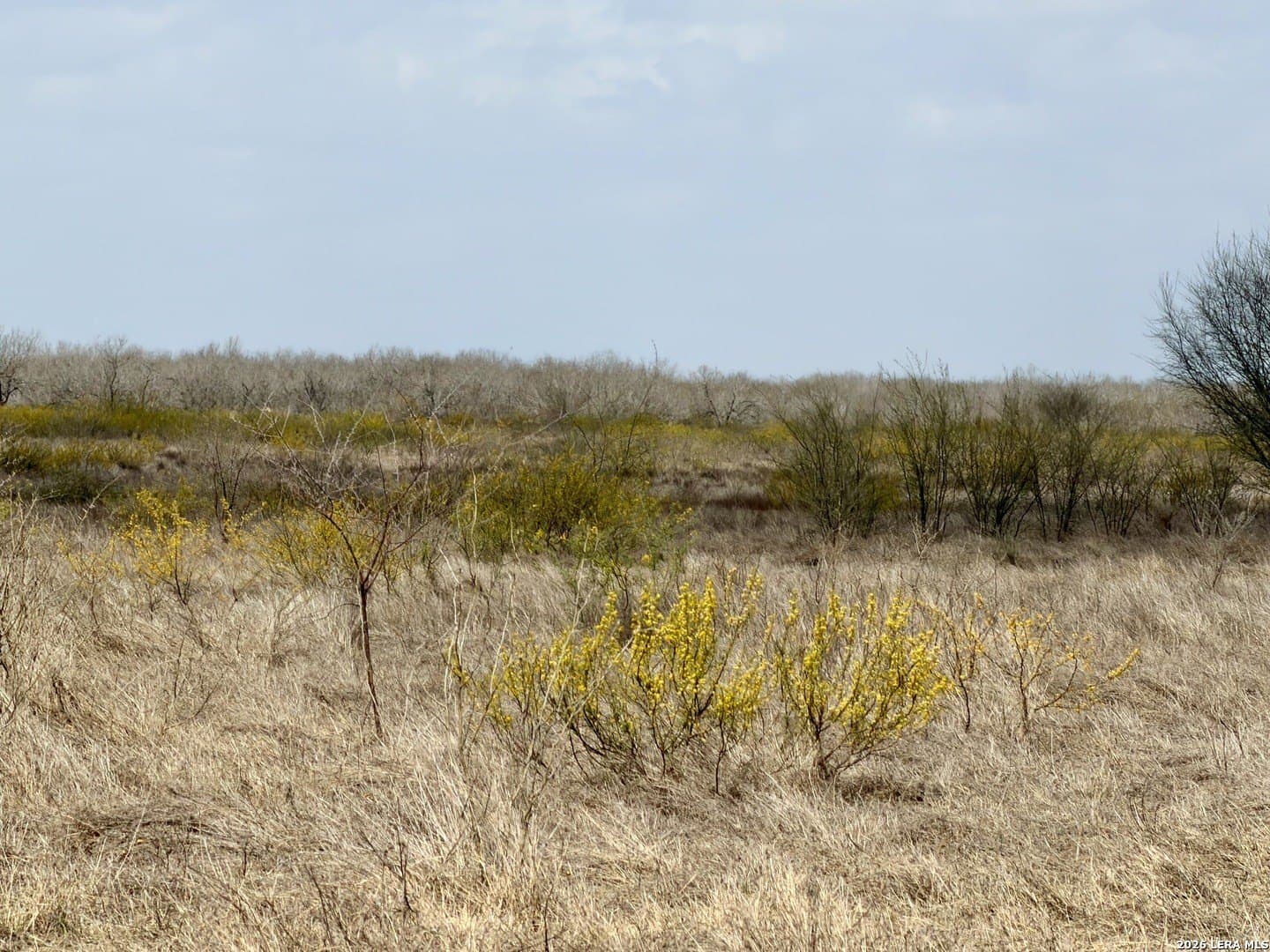 20.71 acres in Atascosa County - photo 38