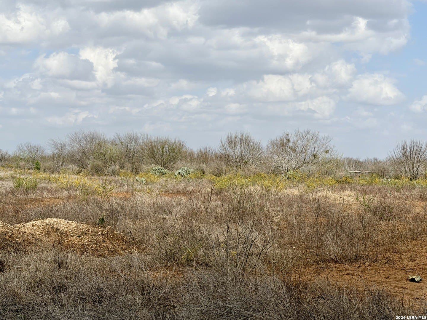 20.71 acres in Atascosa County - photo 36