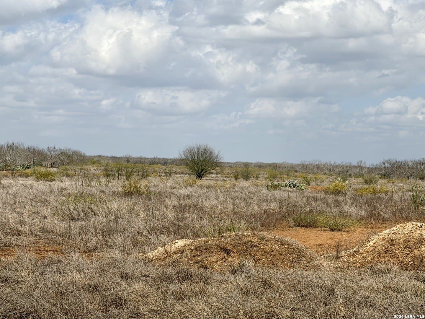 20.71 acres in Atascosa County - photo 35