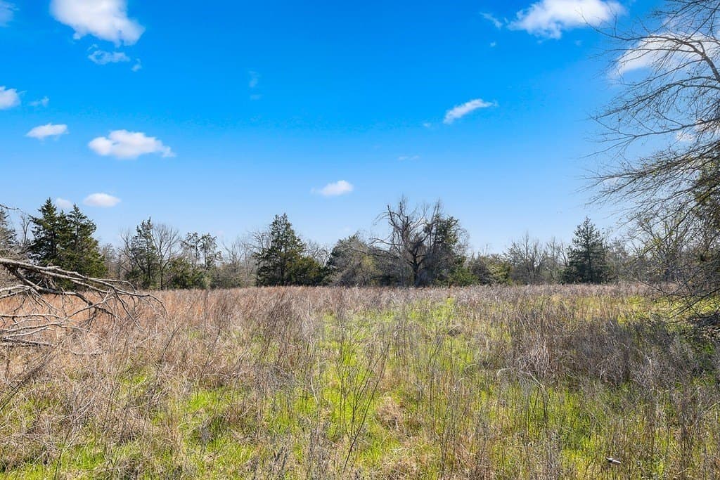 1 acres in Milam County - photo 9