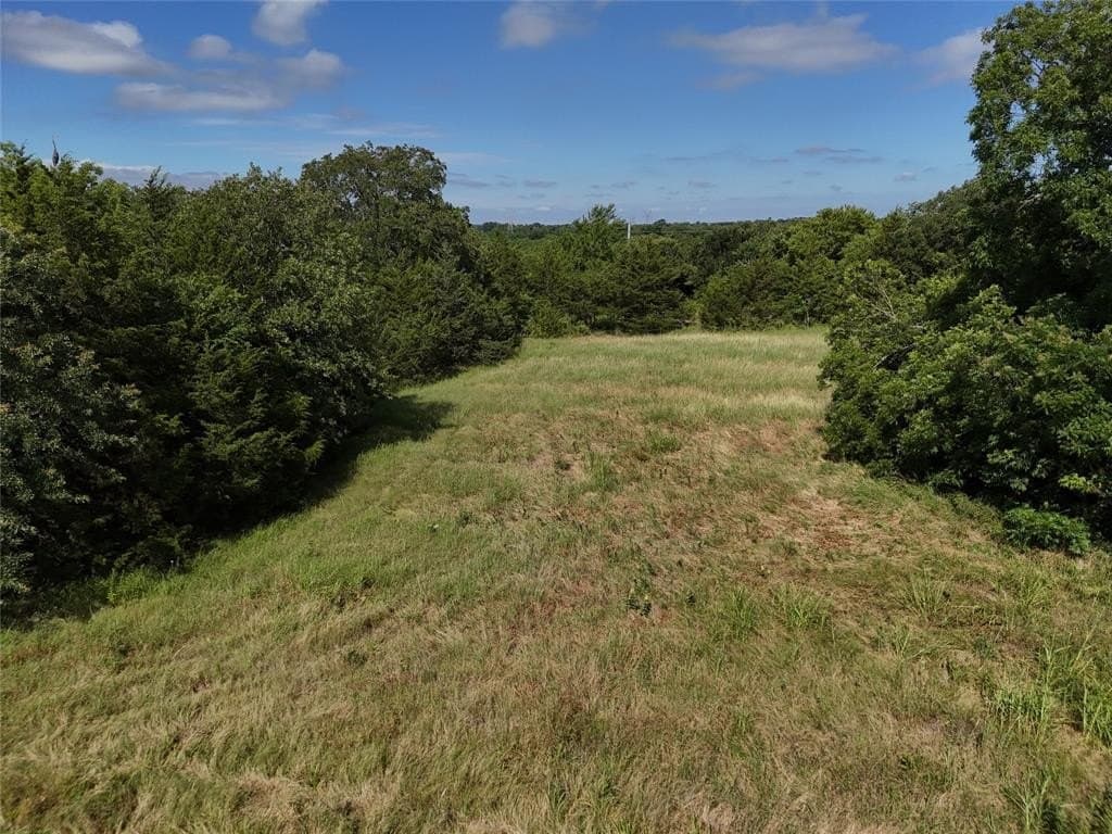 17 acres in Fannin County - photo 6
