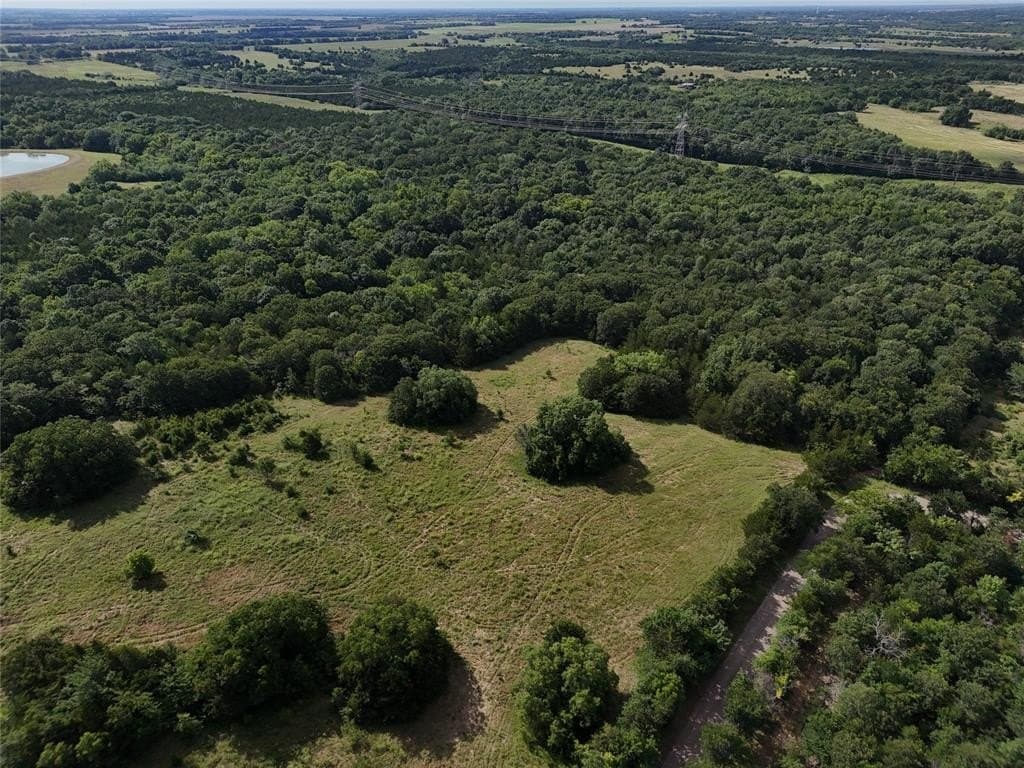 17 acres in Fannin County - photo 4