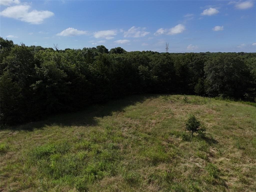 17 acres in Fannin County - photo 2