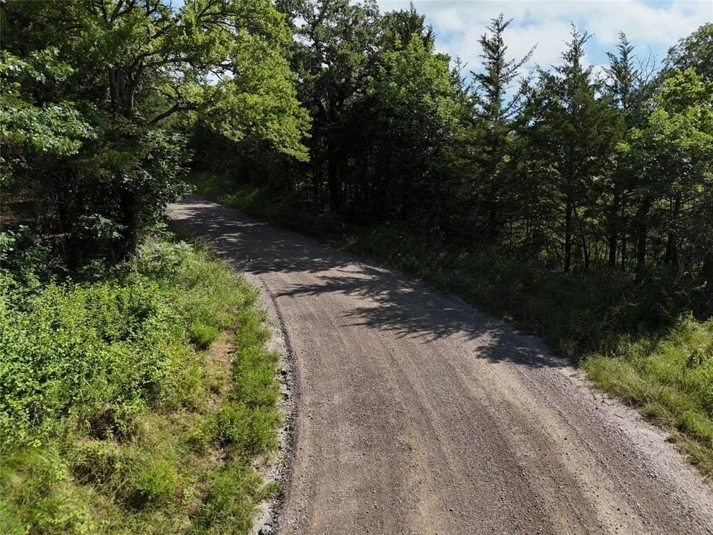 17 acres in Fannin County - photo 11