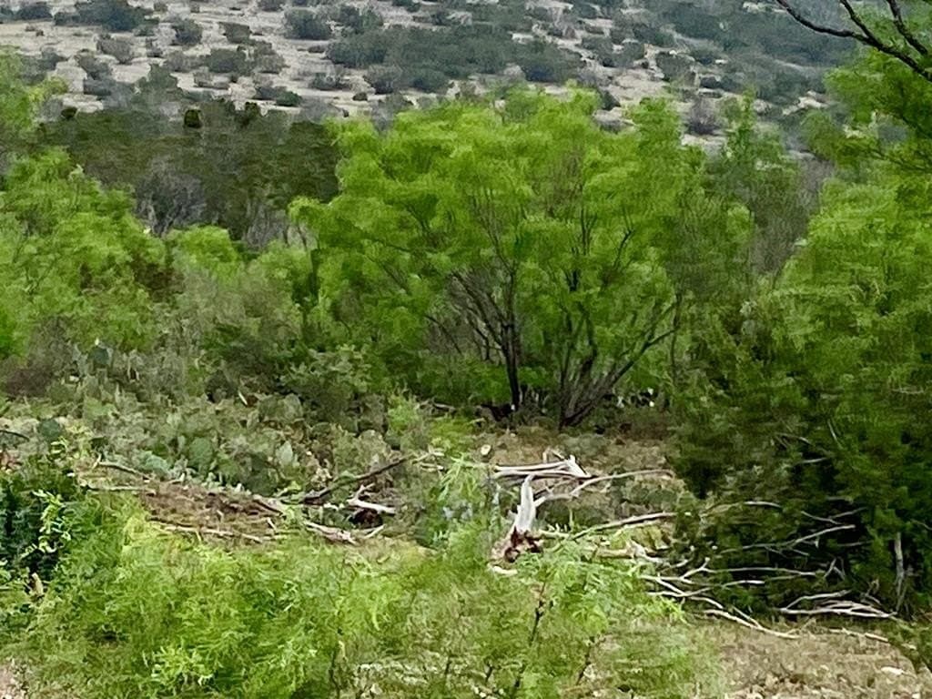 327.44 acres in Val Verde County - photo 44