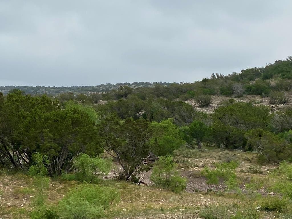 327.44 acres in Val Verde County - photo 45