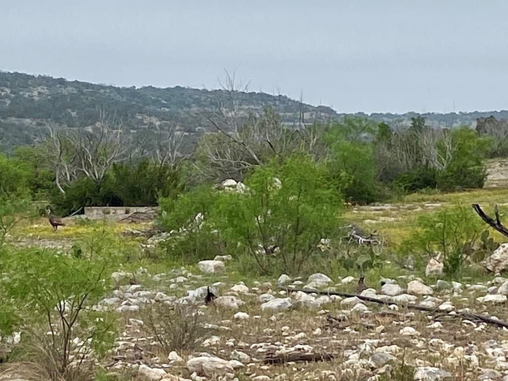 327.44 acres in Val Verde County - photo 40