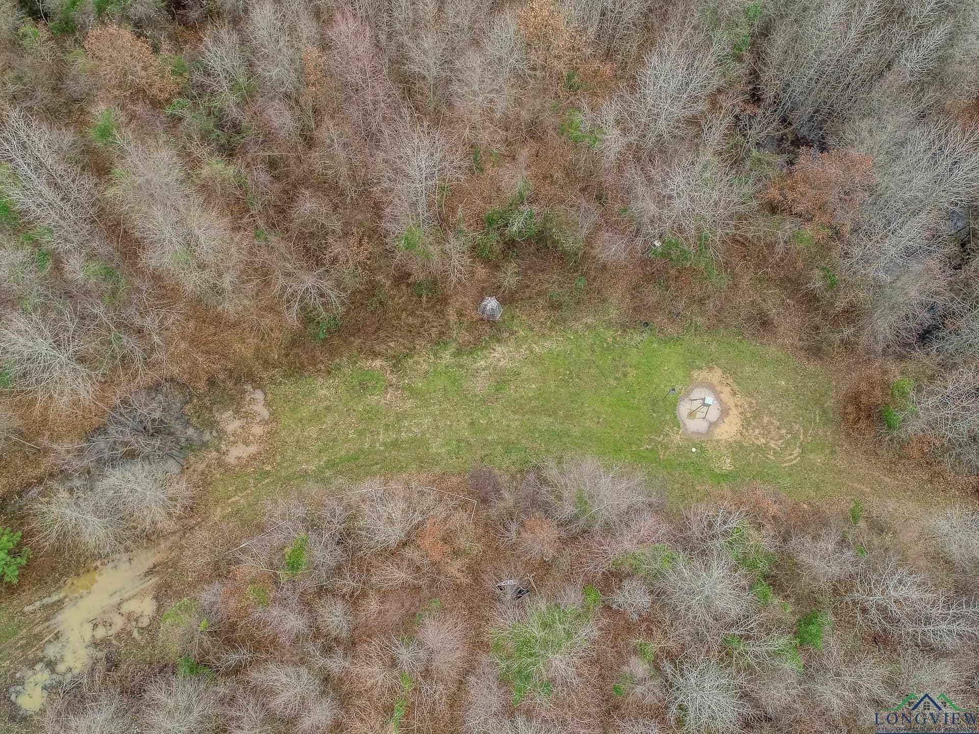 350 acres in Cherokee County - photo 19