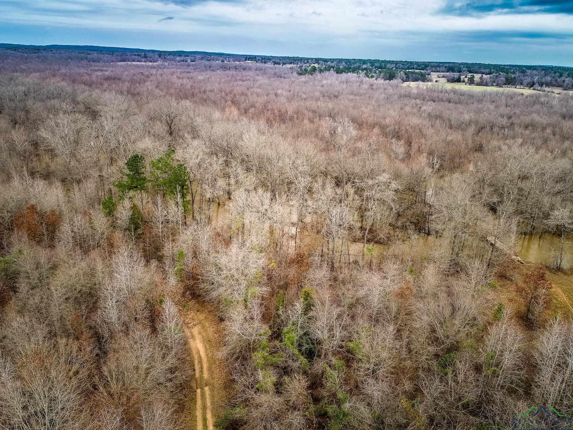 350 acres in Cherokee County - photo 9