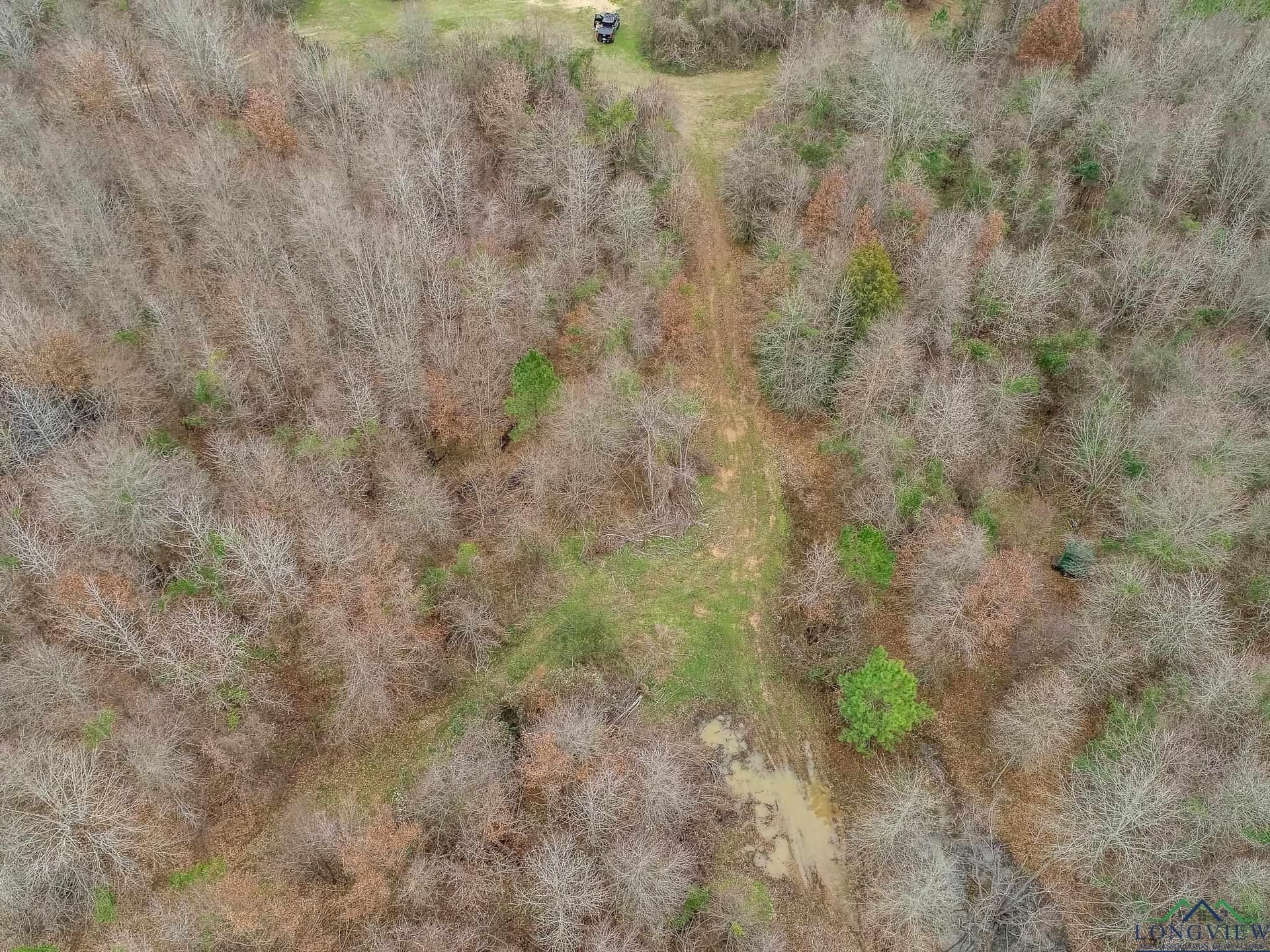350 acres in Cherokee County - photo 20