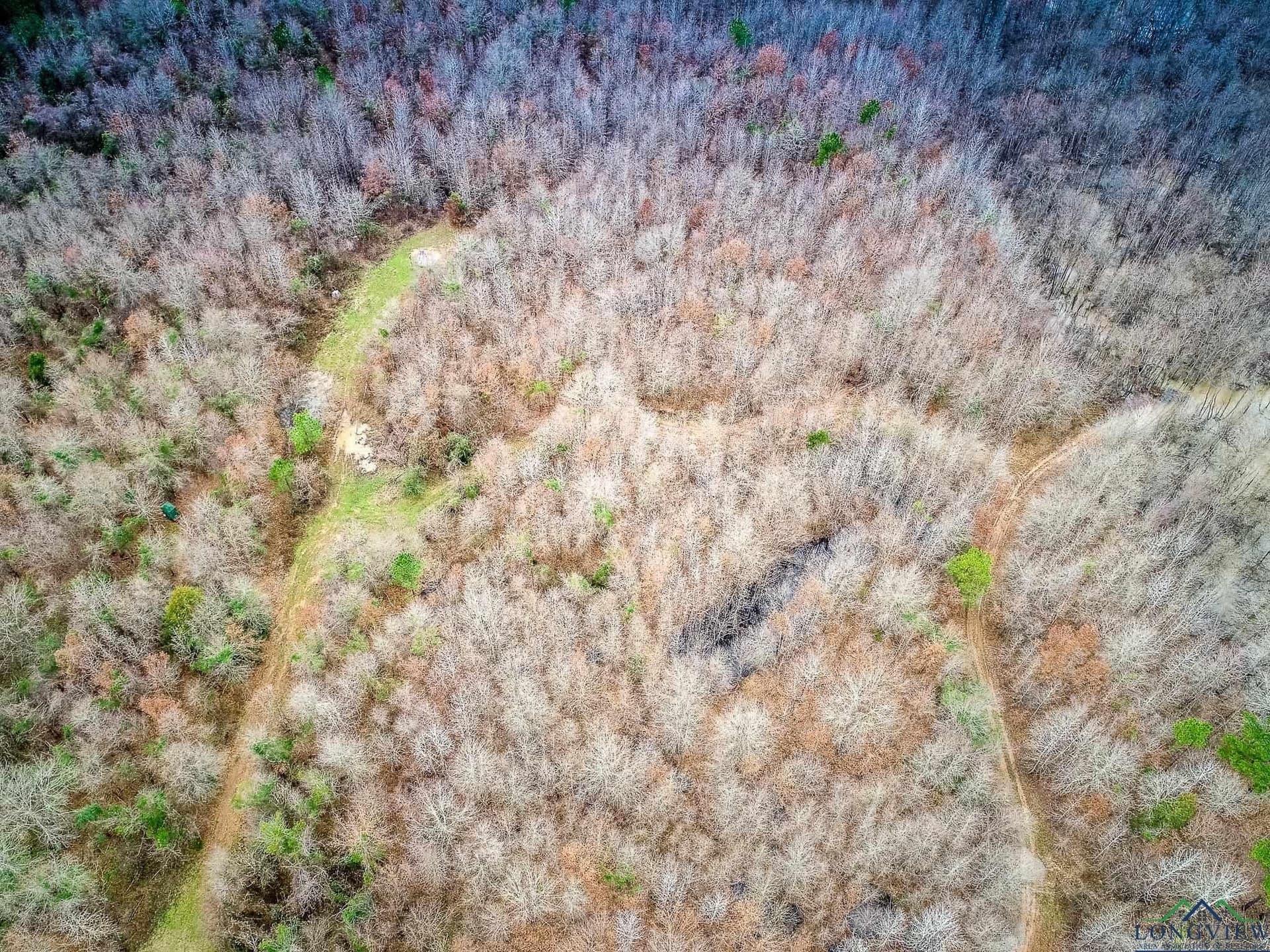 350 acres in Cherokee County - photo 13