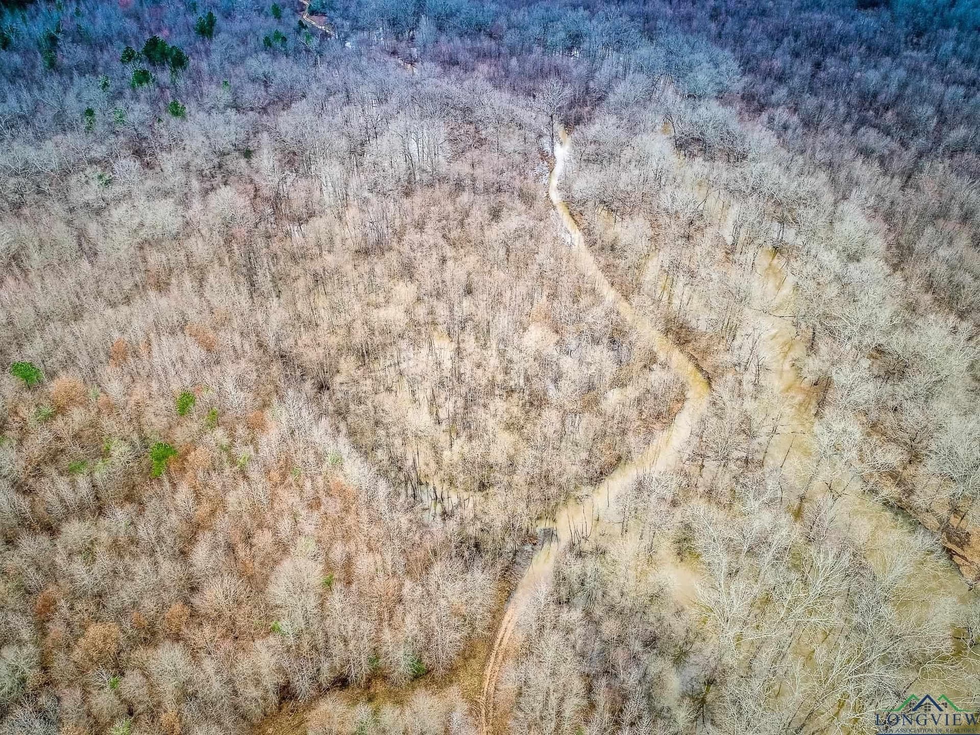 350 acres in Cherokee County - photo 15