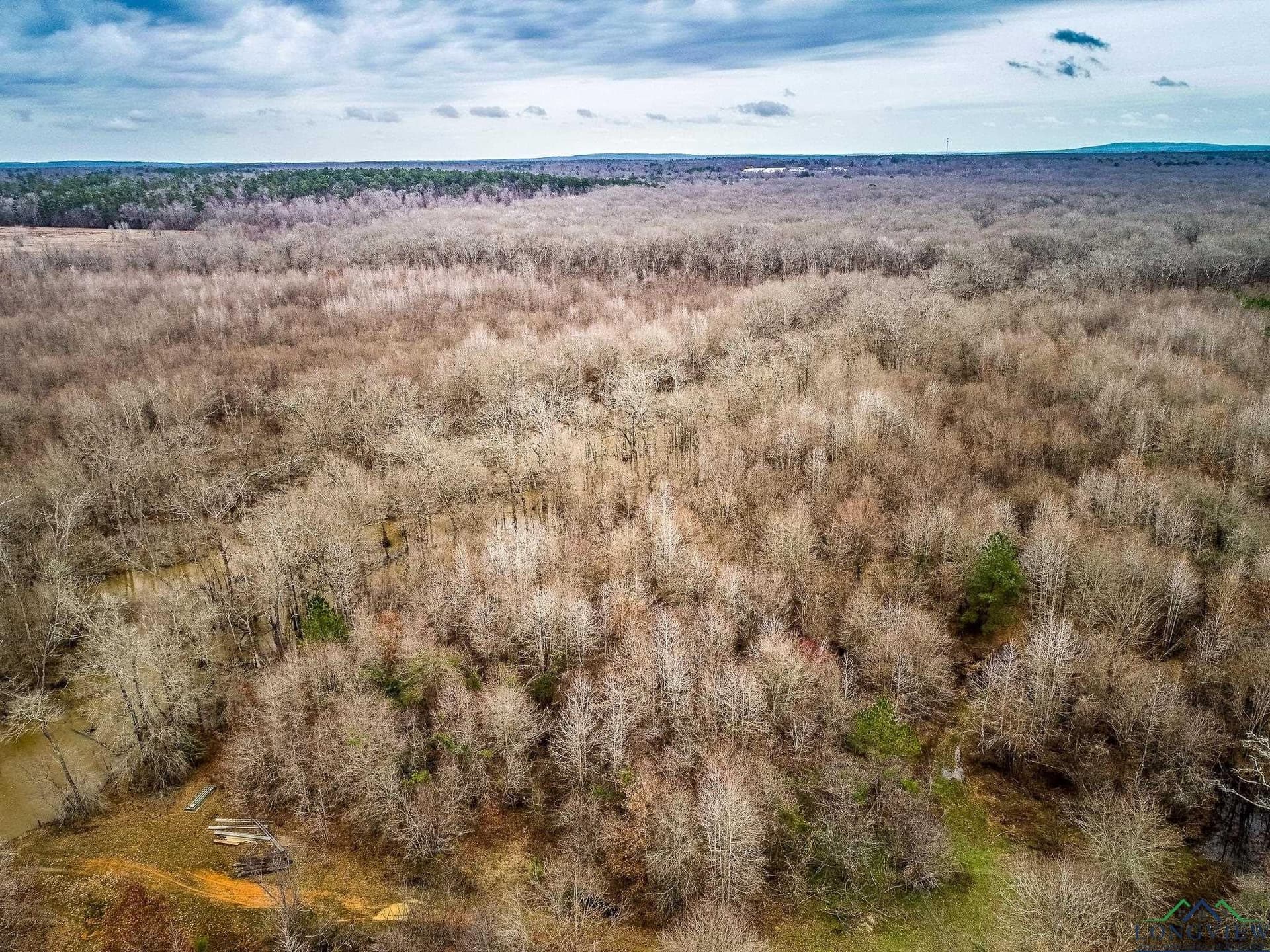 350 acres in Cherokee County - photo 11