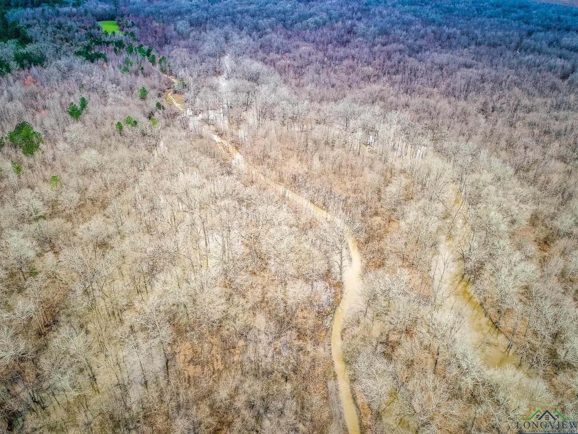 350 acres in Cherokee County - photo 16