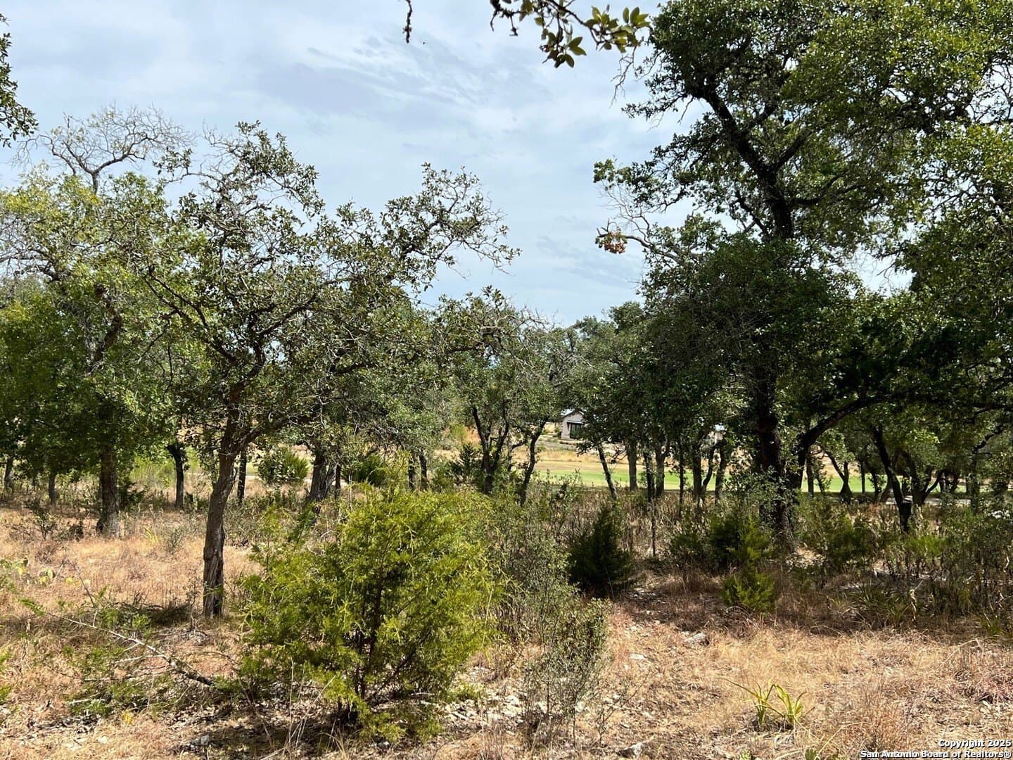 0.31 acres in Kendall County - photo 4