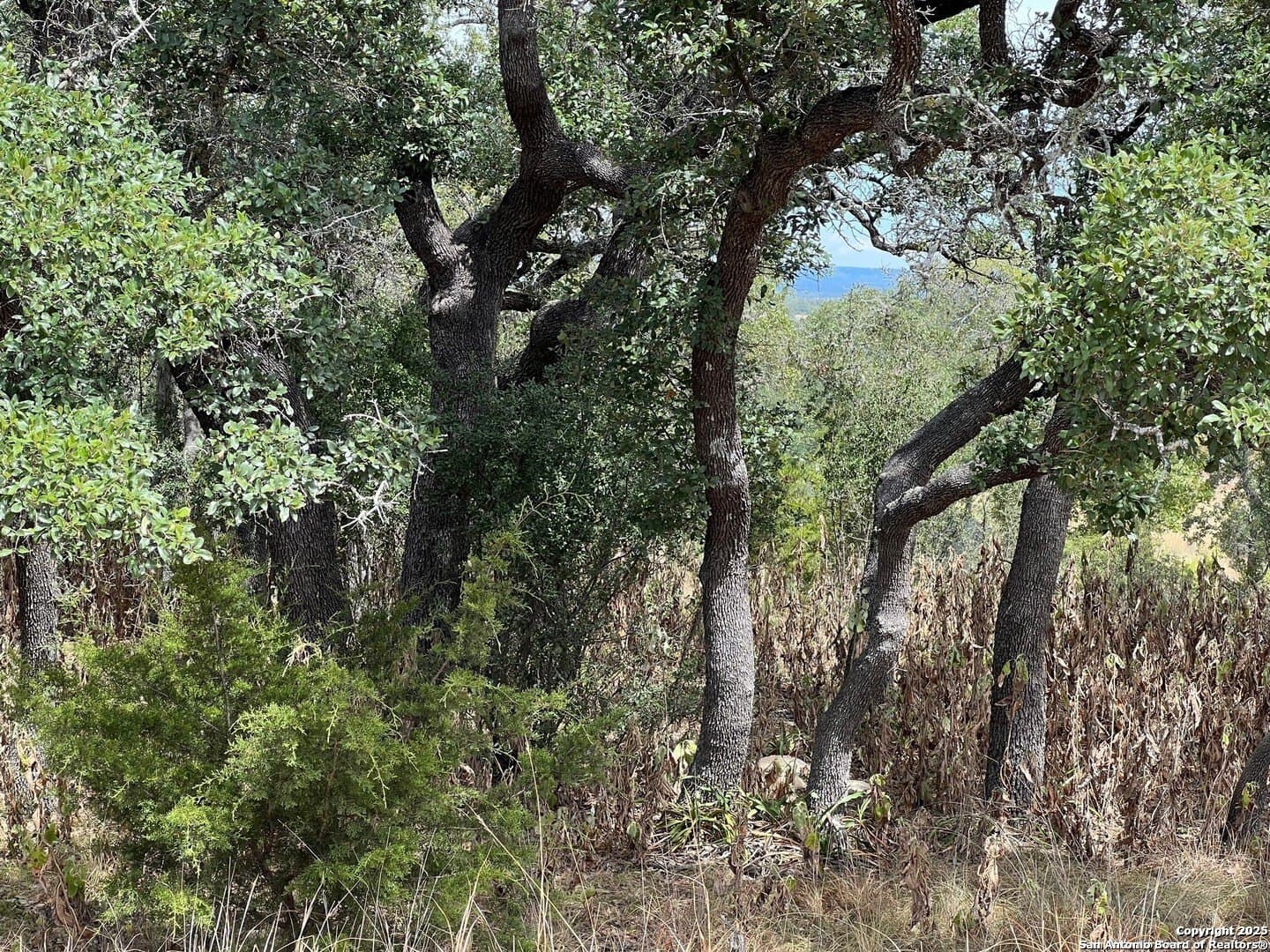 0.31 acres in Kendall County - photo 7