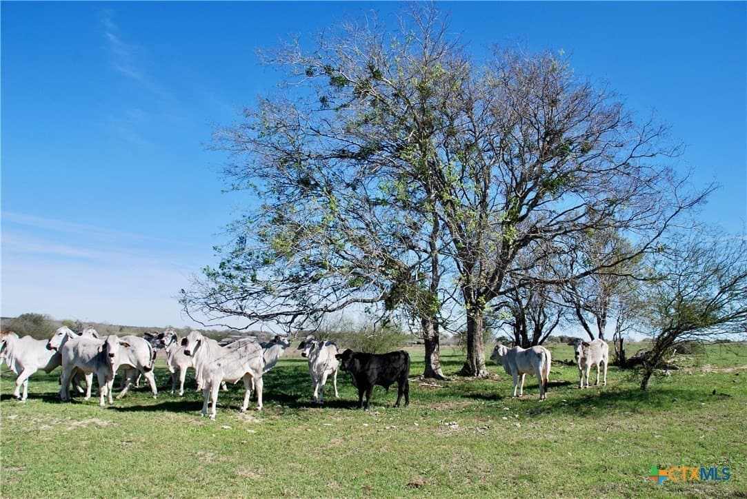 34.62 acres in Lavaca County - photo 21