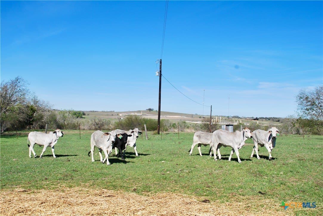 34.62 acres in Lavaca County - photo 15