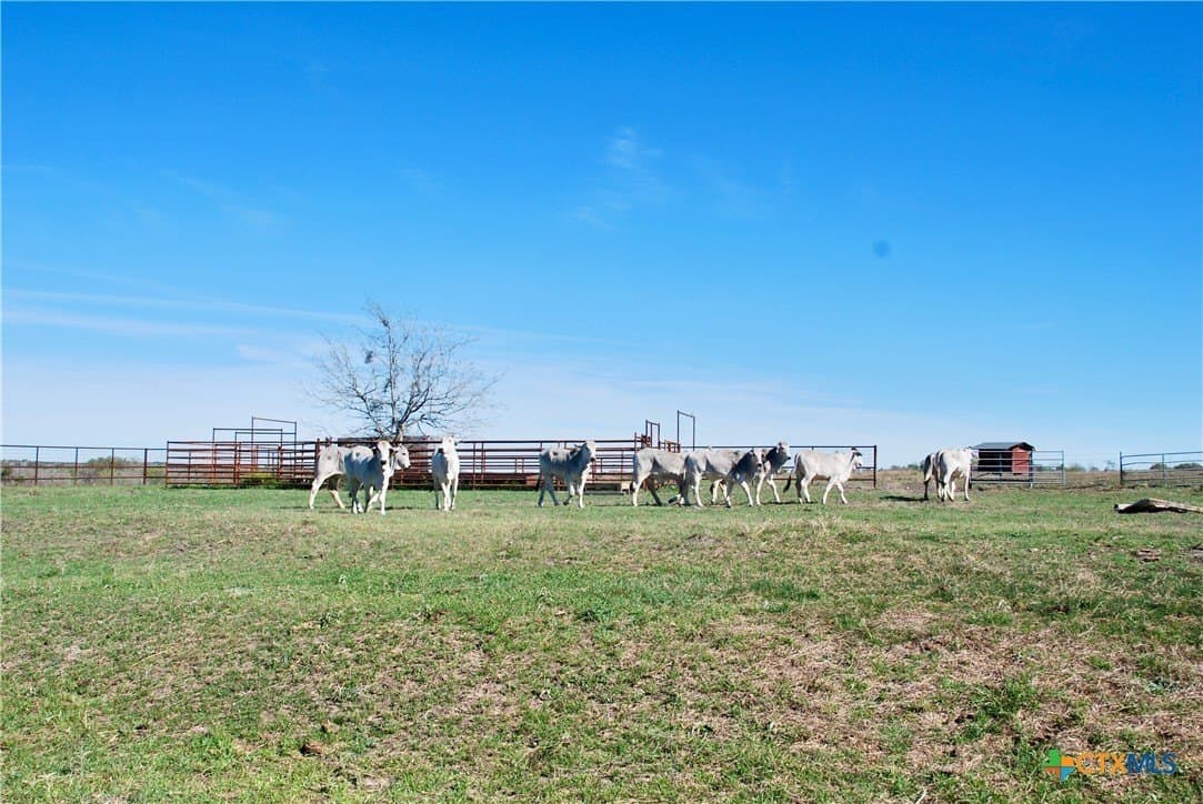 34.62 acres in Lavaca County - photo 16