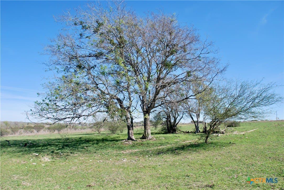 34.62 acres in Lavaca County - photo 19