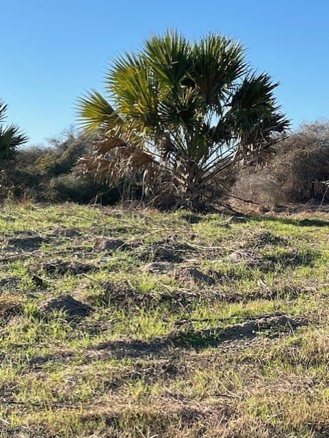 0 acres in Texas County - photo 17