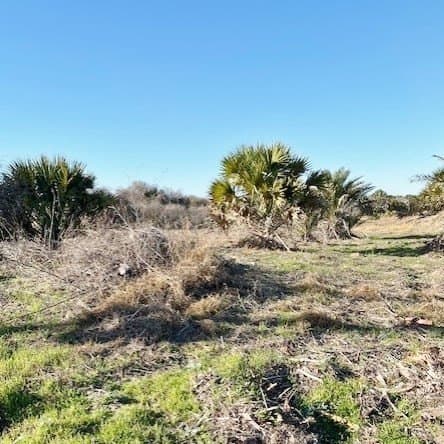 0 acres in Texas County - photo 15