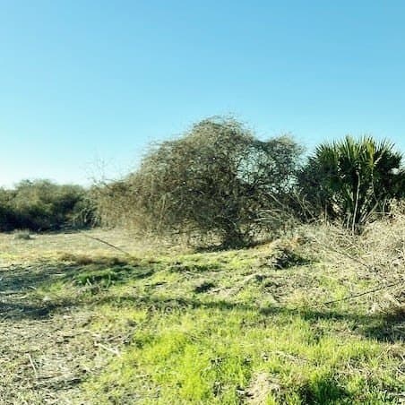 0 acres in Texas County - photo 18
