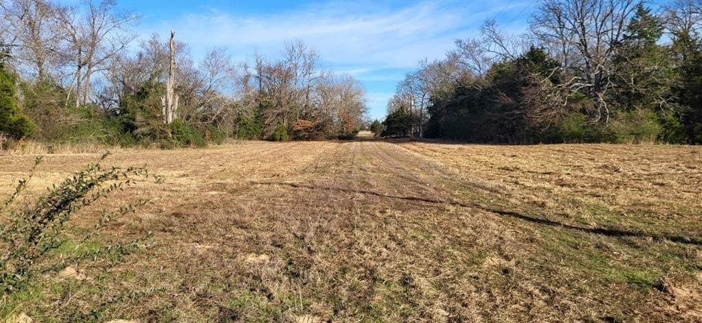 14.28 acres in Hopkins County - photo 3