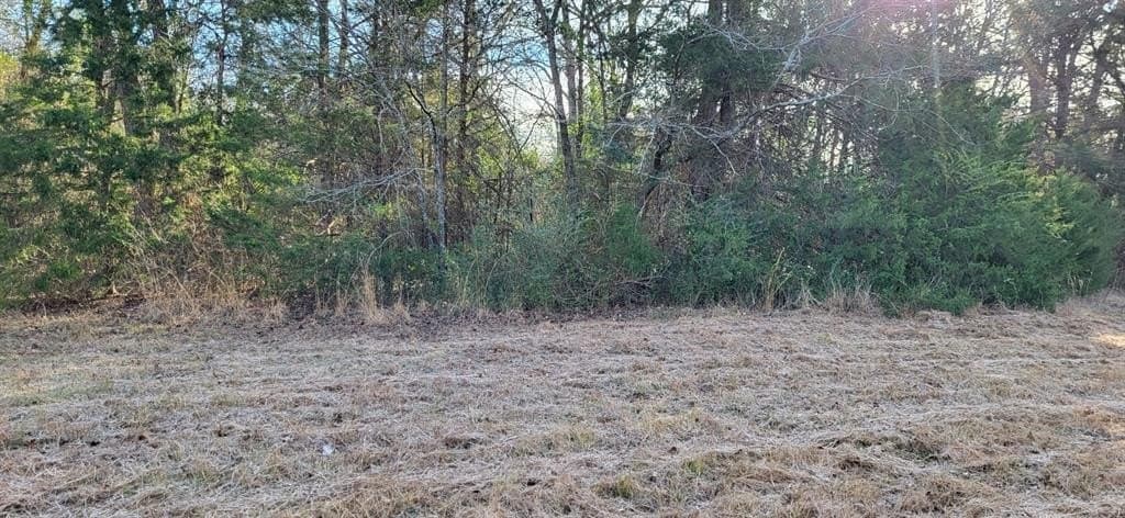 14.28 acres in Hopkins County - photo 13