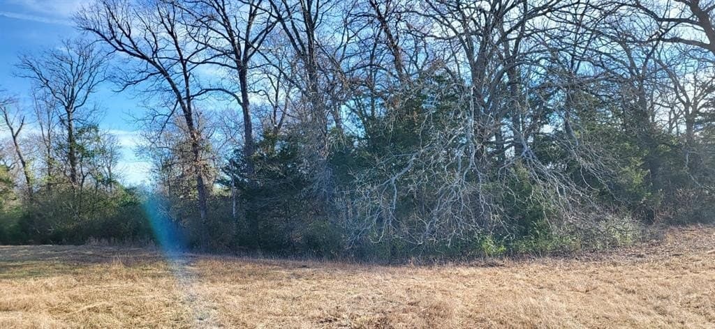 14.28 acres in Hopkins County - photo 2