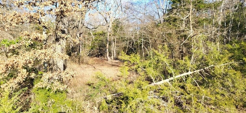 14.28 acres in Hopkins County - photo 11